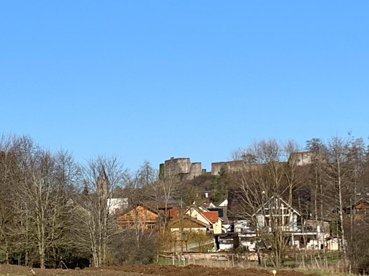Ferienhaus Eifelstuben Mit Charme - Bauernstube Vulkaneifel - Naehe See Und Burgruine Ulmen Eksteriør billede