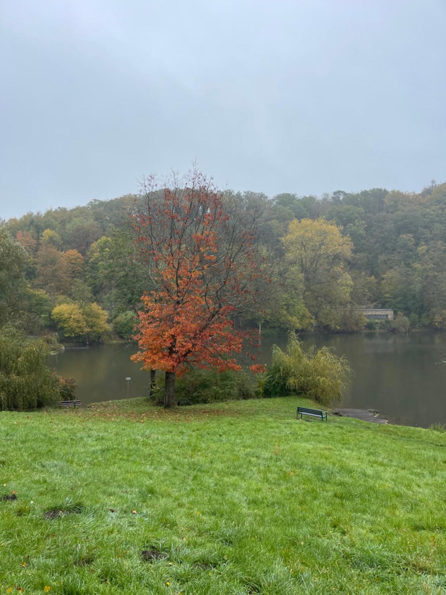 Ferienhaus Eifelstuben Mit Charme - Bauernstube Vulkaneifel - Naehe See Und Burgruine Ulmen Eksteriør billede