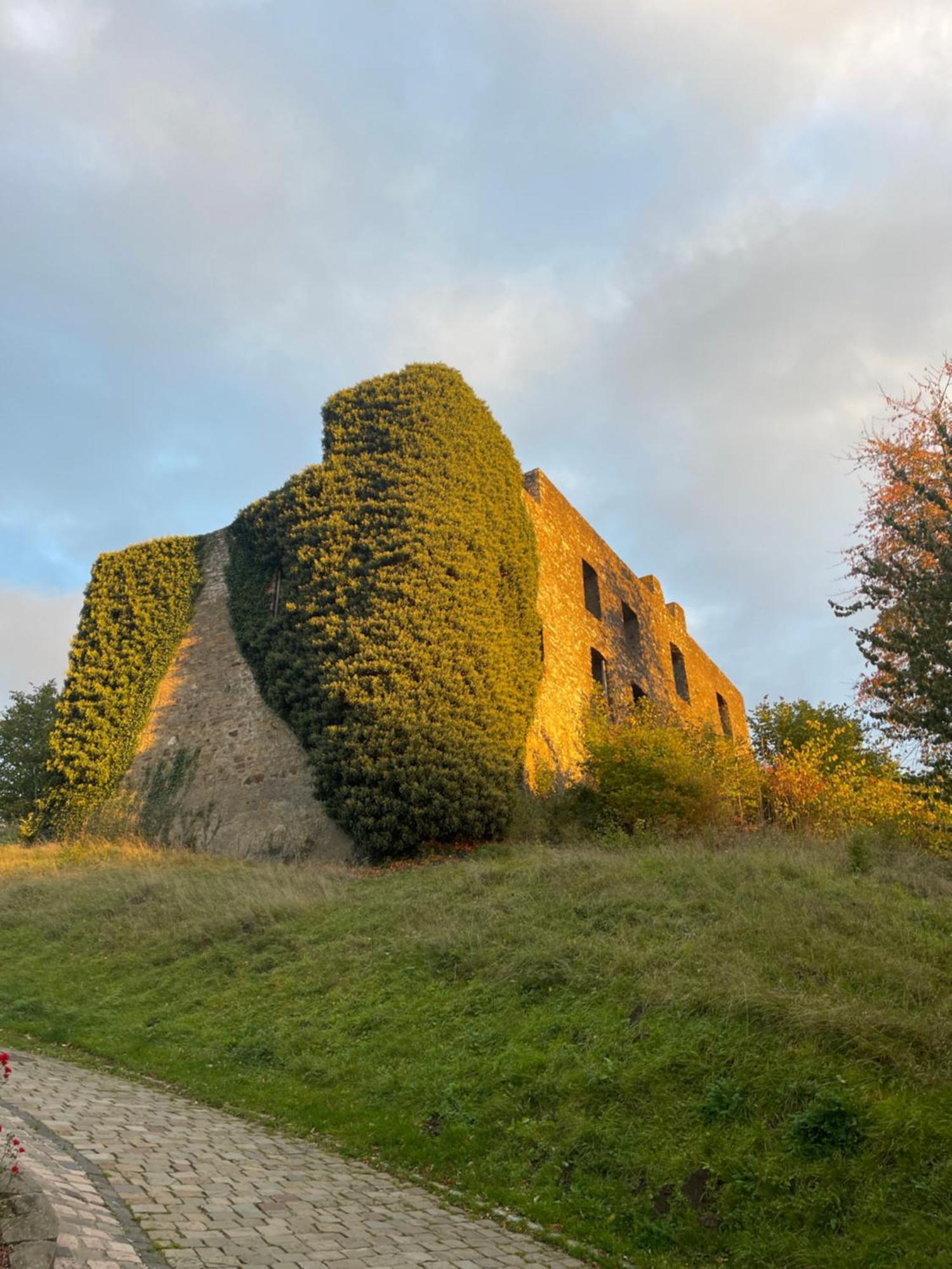 Ferienhaus Eifelstuben Mit Charme - Bauernstube Vulkaneifel - Naehe See Und Burgruine Ulmen Eksteriør billede