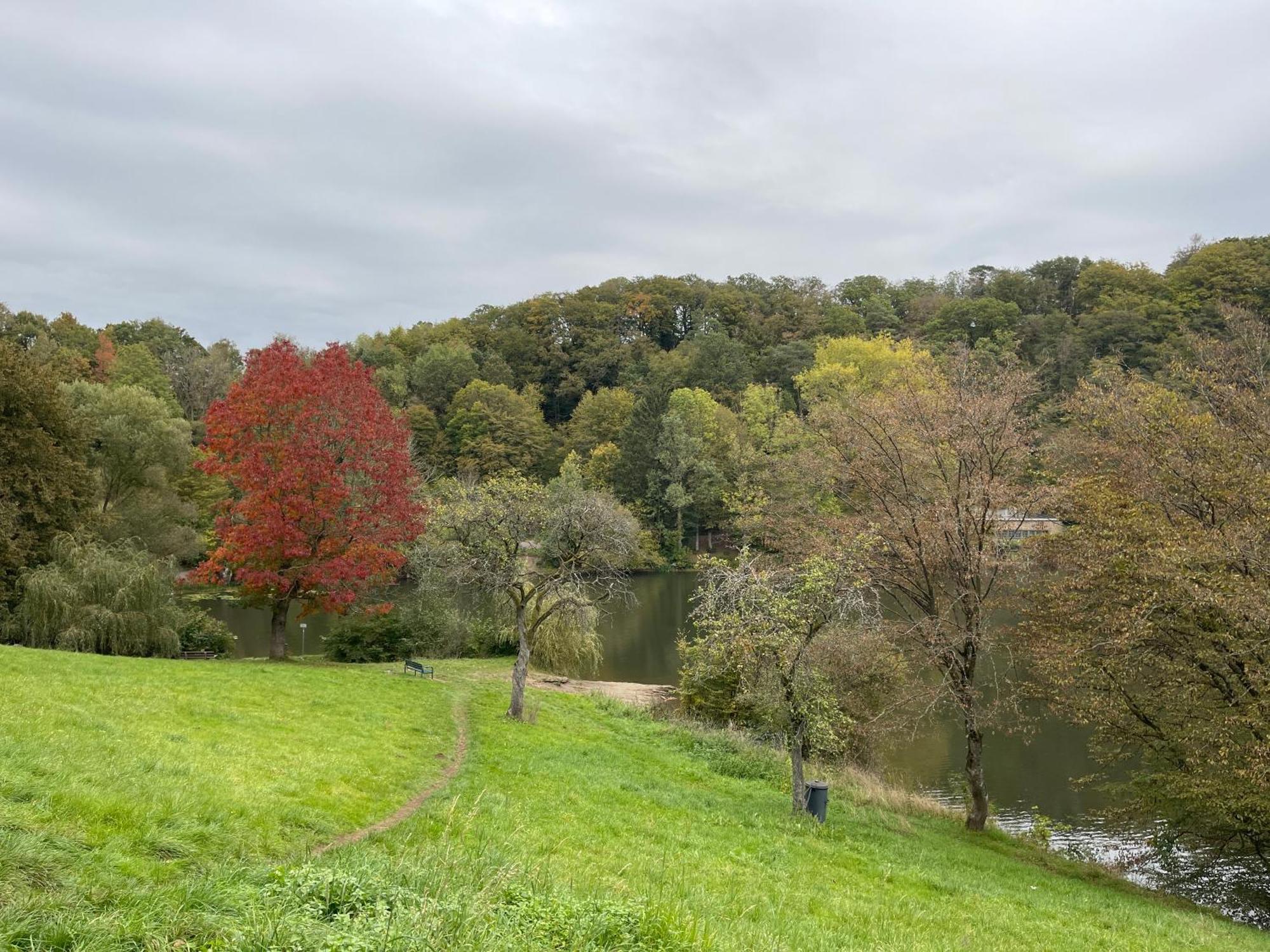 Ferienhaus Eifelstuben Mit Charme - Bauernstube Vulkaneifel - Naehe See Und Burgruine Ulmen Eksteriør billede